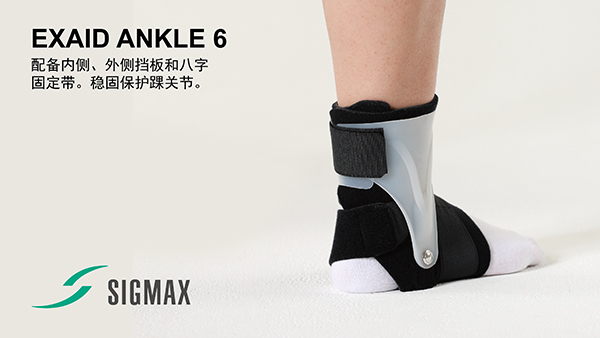 EXAID ANKLE 6
