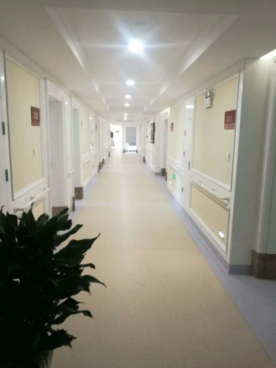 同質(zhì)透芯
