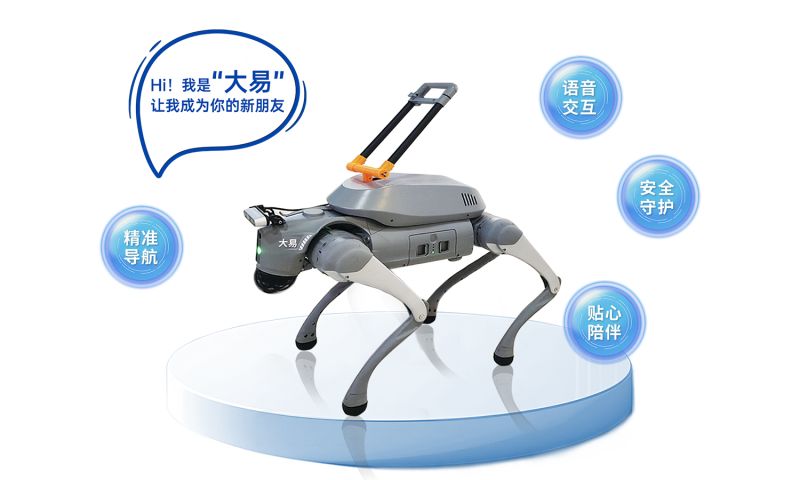 The "Da Yi" Guide Robot Dog-